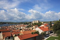 IMG_8415