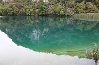 IMG_8477