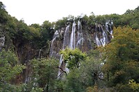 IMG_8478