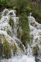 IMG_8482