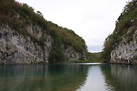 IMG_8485