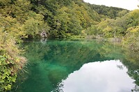 IMG_8496