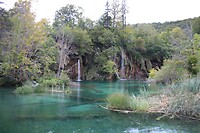 IMG_8502