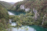 IMG_8509