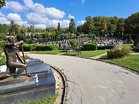 1000033932