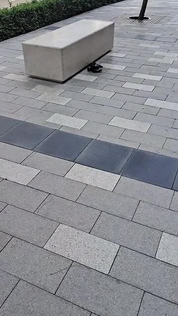 1000041409