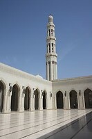 IMG_8646