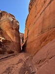 IMG_0948