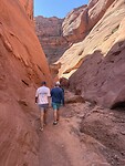 IMG_8470