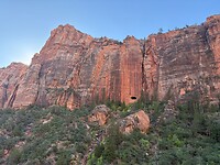 IMG_8489