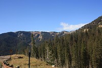 IMG_9011