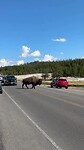 IMG_1216