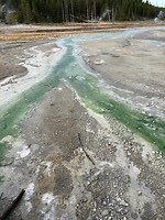 IMG_8595