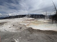 IMG_8608