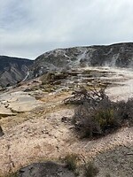 IMG_8609
