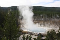 IMG_9116
