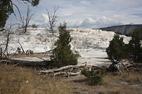 IMG_9131