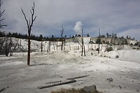 IMG_9132