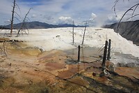 IMG_9141