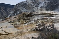 IMG_9149