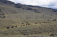 IMG_9152