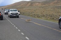 IMG_9156
