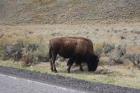 IMG_9160