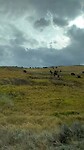 IMG_1397