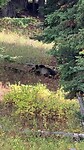 IMG_1371