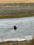 IMG_1387