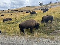 IMG_1396