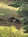 IMG_1369