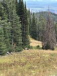 IMG_1364