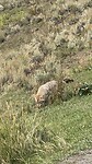 IMG_1346