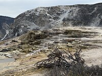 IMG_1333