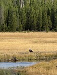 IMG_1277