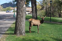 IMG_9215