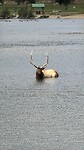 IMG_1463