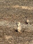 IMG_1512