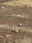 IMG_1510