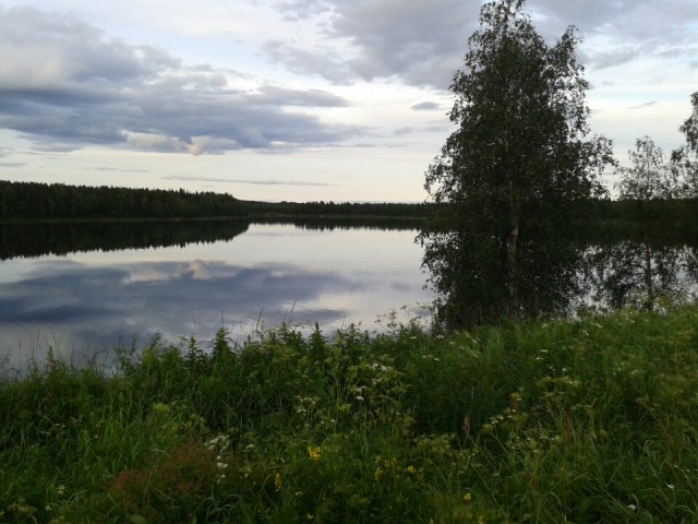 Uitzicht vanuit de teng