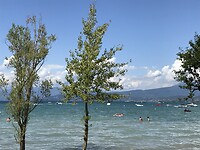 50D22962-53E2-452C-AAAA-EAED6BEF7A4D
