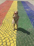 15EA9C4E-04B2-40C5-96C4-7812337BB1EA