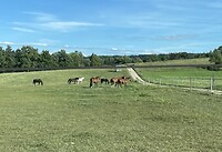 IMG_9806