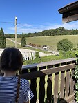 IMG_9812