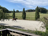 IMG_9817