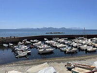 IMG_3684
