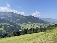 IMG_0335