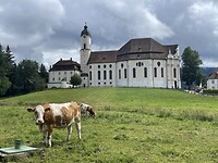 IMG_5597
