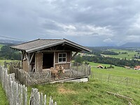 IMG_5609